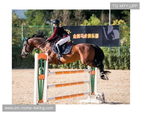 葡萄牙马术协会建立马术运动伤害预防中心,保障运动员安全。,葡萄牙马车博物馆 葡萄牙马术协会建立马术运动伤害预防中心,保障运动员安全。,葡萄牙马车博物馆